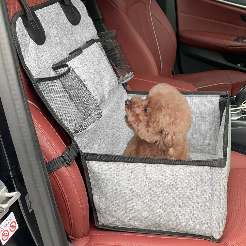 Dog sitting comfortably in a car booster seat