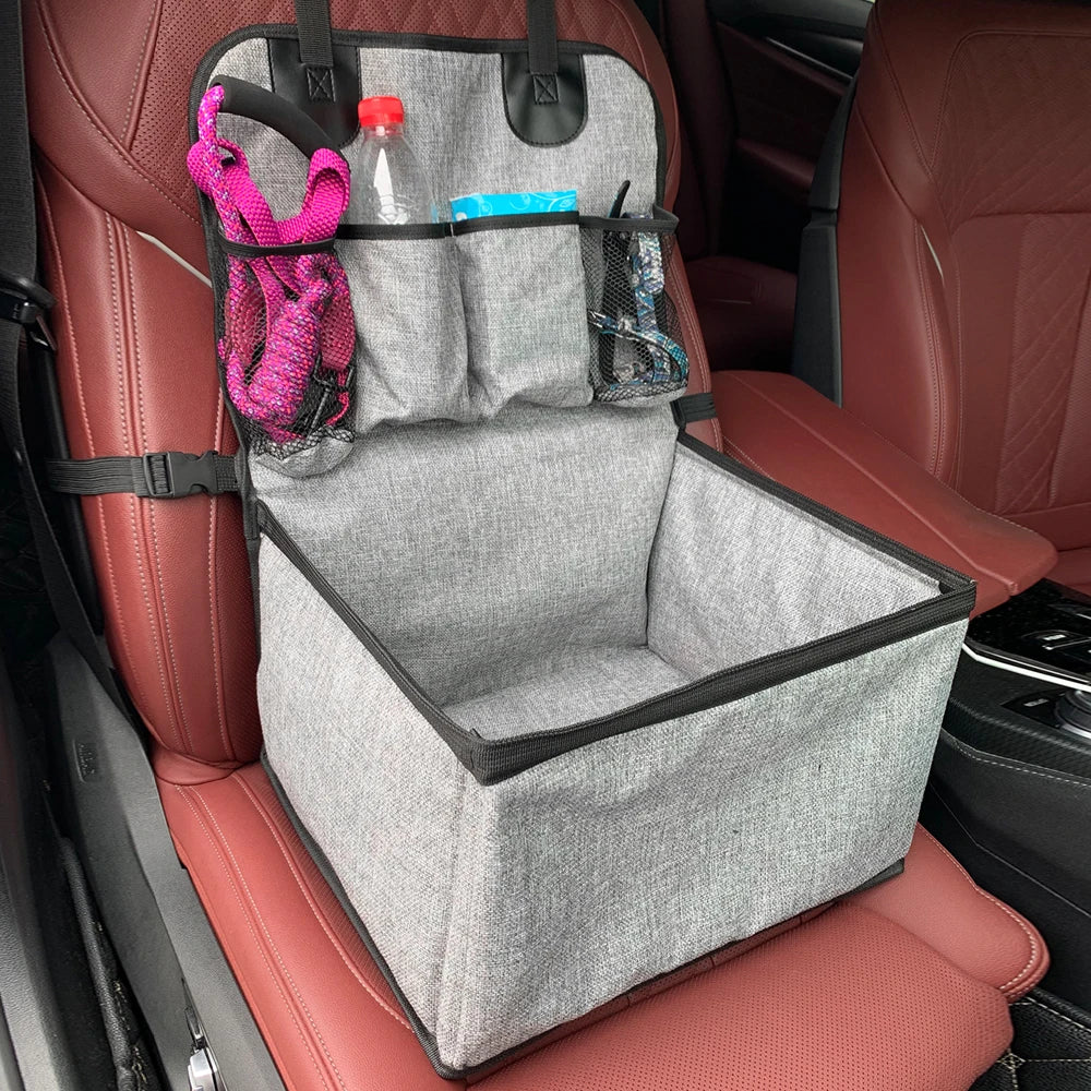Seat installed with the basics for the pet.